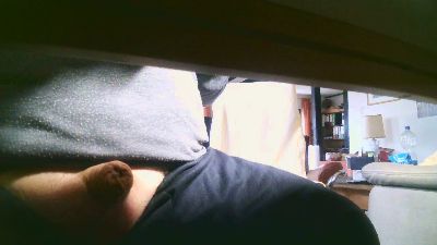 legov4 webcam model stream image