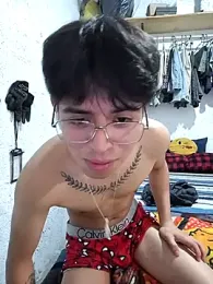 FAVOJS webcam model stream image