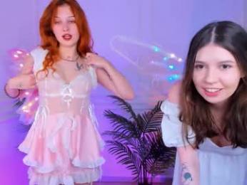 shiny_bell webcam model stream image