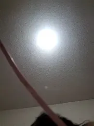 miicheele32 webcam model stream image