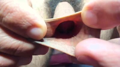 Chriss_evanss_ webcam model stream image