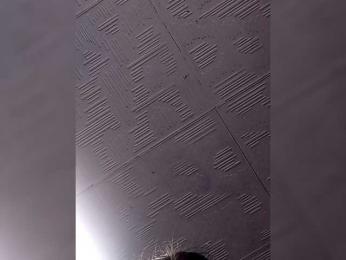 NaTaShAGERL webcam model stream image