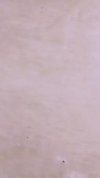 Moon6744 webcam cam4 model stream image