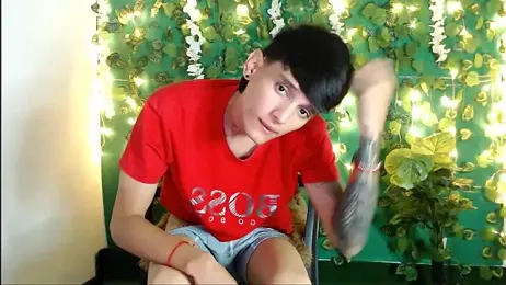 SWT2003 webcam model stream image