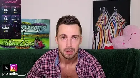 Promethe_us webcam model stream image