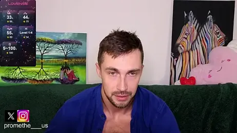 Promethe_us webcam model stream image