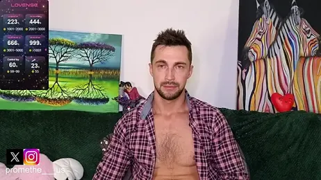 Promethe_us webcam model stream image