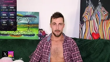 Promethe_us webcam model stream image