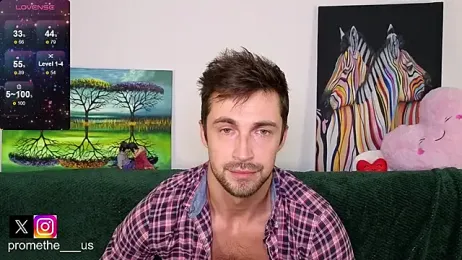 Promethe_us webcam model stream image