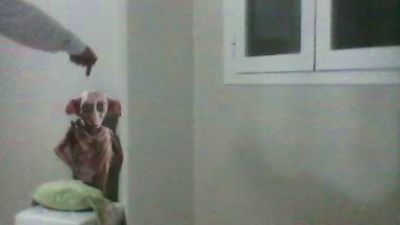 deivideivid1 webcam model stream image