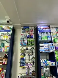 roouse webcam model stream image