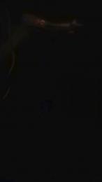 Evamm84 webcam model stream image