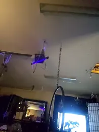 Hotredheadandtoungelasher webcam model stream image