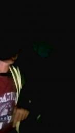 Wuarroman webcam cam4 model stream image