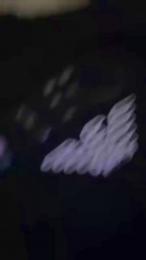 Ambassadores webcam model stream image