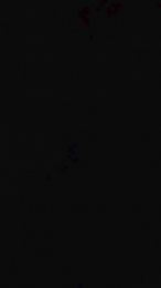 Tigrevk webcam model stream image