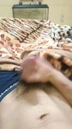 Tigrevk webcam model stream image