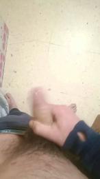 Tigrevk webcam model stream image