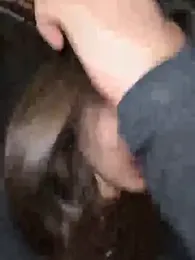 VelvetVixenI webcam model stream image