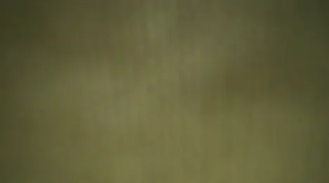 harley_sweet-69 webcam model stream image