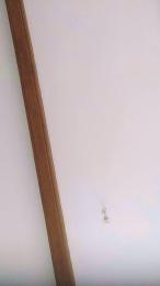 couplesex61 webcam model stream image