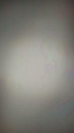 Bhsd webcam model stream image