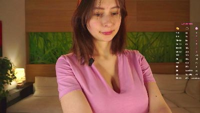 TierraCheck webcam model stream image