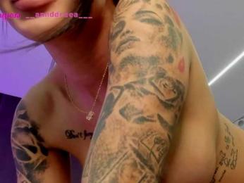 PerfectT33n webcam model stream image