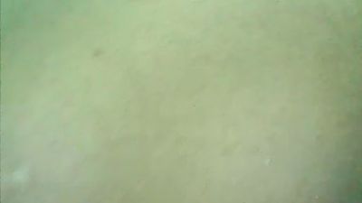 jhonalex06 webcam model stream image