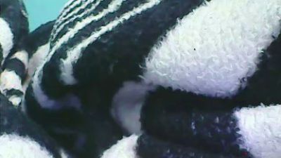 jhonalex06 webcam model stream image