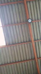 Alex39h webcam model stream image