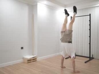 tommyjoyer webcam model stream image