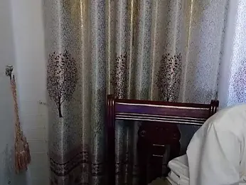 9t88 webcam model stream image