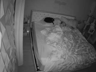 voyeurcam-whitneyoc-01 webcam model stream image