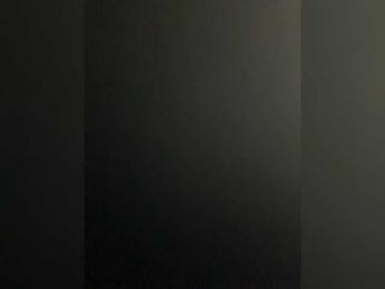 PARAmeow webcam model stream image