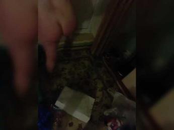 Sutener69-1 webcam model stream image