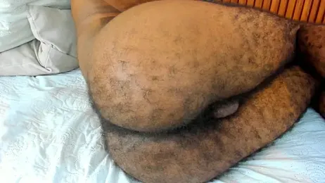 Darwin_mayo webcam model stream image