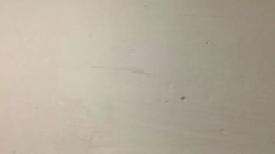 Javierapalacios webcam model stream image