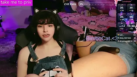 BimboCat webcam model stream image
