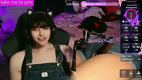 BimboCat webcam model stream image