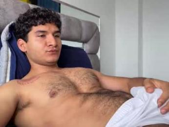 _reiner webcam model stream image