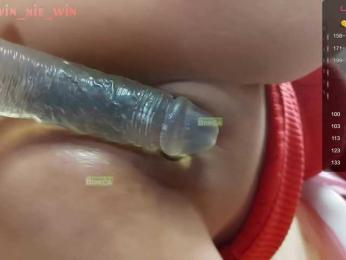 WIN_NIE webcam model stream image