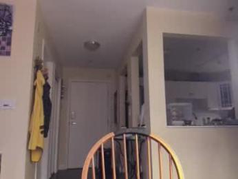 alizezaide webcam model stream image