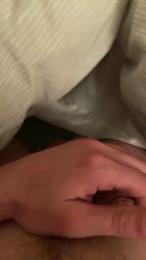 HA18 webcam model stream image