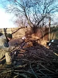 Alexilon webcam model stream image