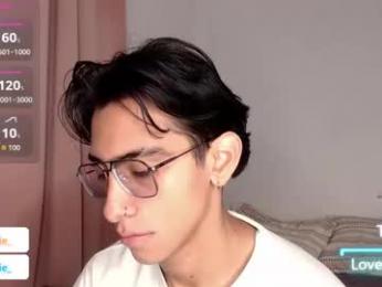 ash_v1 webcam model stream image