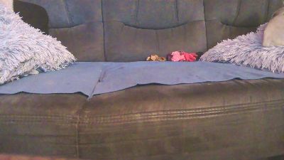 foxx1234 webcam model stream image