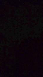 Josekeko1983 webcam model stream image