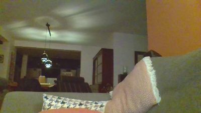 bioushot webcam model stream image