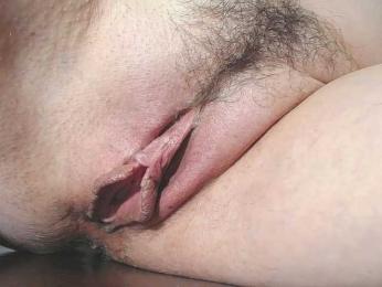 Xollan webcam model stream image